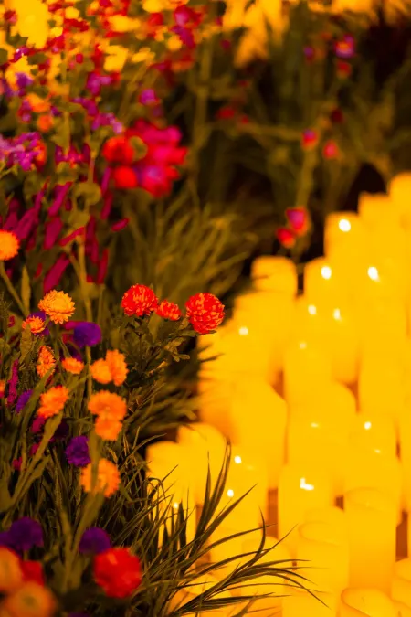 Candlelight Bridgerton-galleri