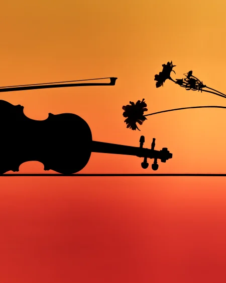 Candlelight Spring Gallery