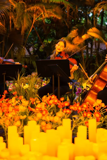 Candlelight Spring Gallery