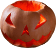 Zucca