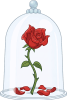 rose sous cloche en verre