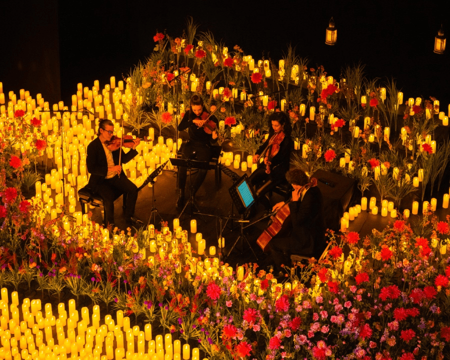 An indoor blooming experience
