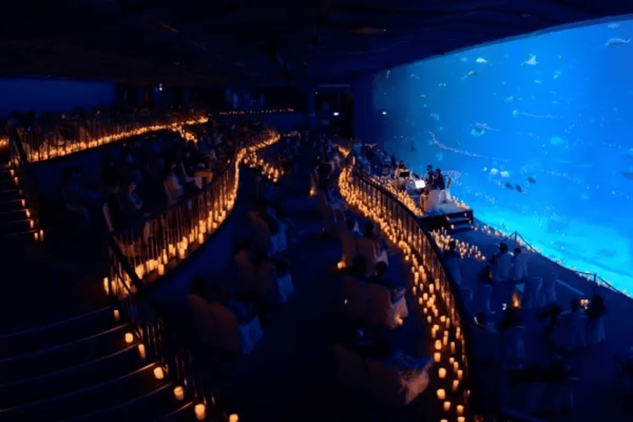 S.E.A. Aquarium